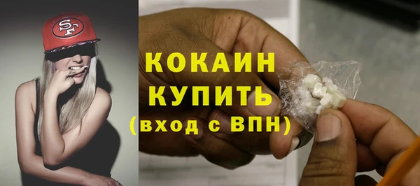 эйфоретик Богданович