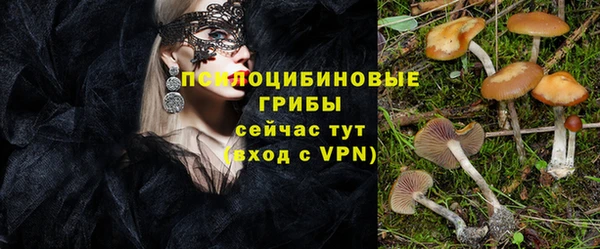 герыч Богородицк