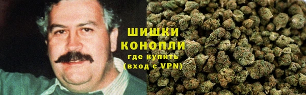 jwh Белокуриха