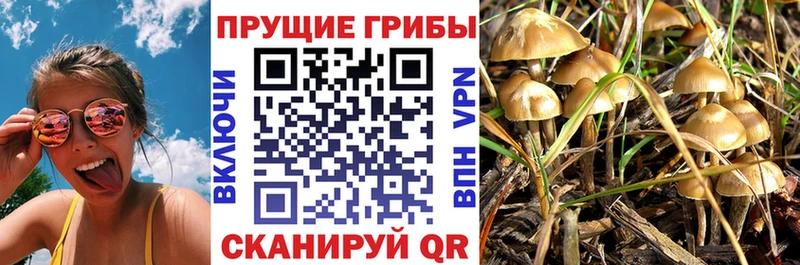 Галлюциногенные грибы GOLDEN TEACHER  Велиж 