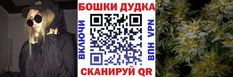 Бошки Шишки план  наркошоп  Велиж 
